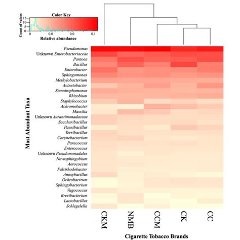 Heat Map Showing The Relative Abundances Of The Most Dominant Bacterial