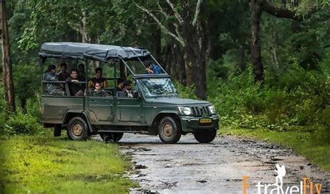 Coorg Wildlife Sanctuary Sightseeing Tour Packages - Etravelfly