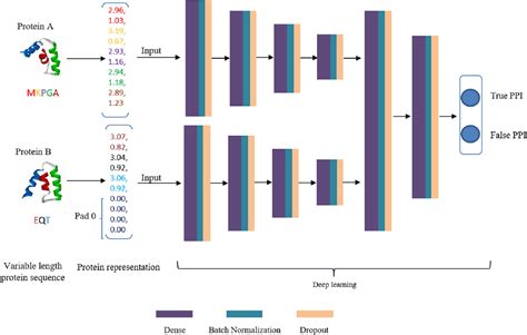 An Integration Of Deep Learning With Feature Embedding For Protein