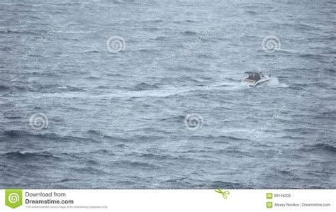 Motora Que Se Mueve En El Mar Tempestuoso Imagen De Archivo Imagen De