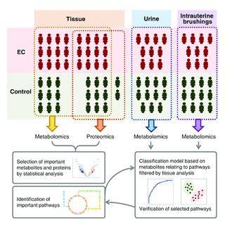 Schematic Illustration Of Integrating Metabolomic And Proteomic