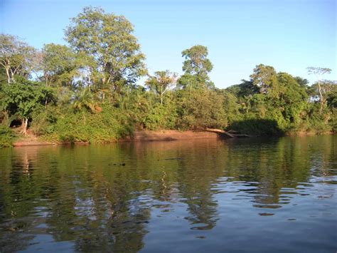 Pesca No Rio Miranda Como Fazer A Pesca No Pantanal Em 2025