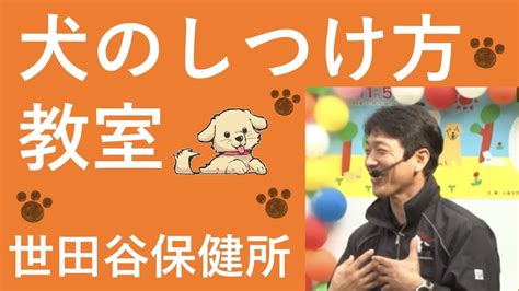 犬のしつけ方教室 Youtube