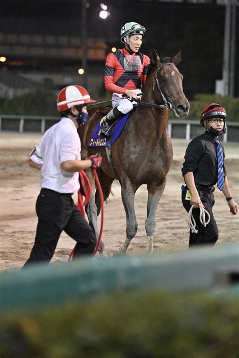 地方競馬全国協会nar公式 On Twitter 日本テレビ盃 1着はフィールドセンス。本日船橋競馬場で行われた第69回日本テレビ盃