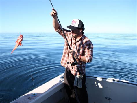 Go Fishing With Hook Line And Dinners Ben Sargent Pictures Shows