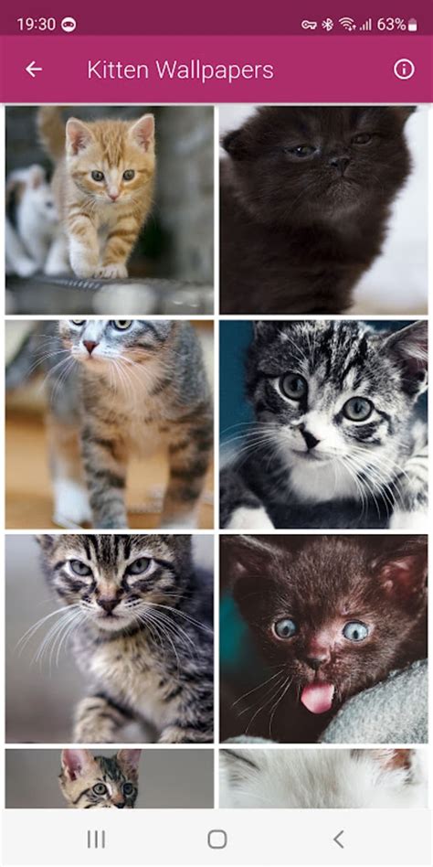 Android 용 Cute Kittens Wallpapers APK 다운로드