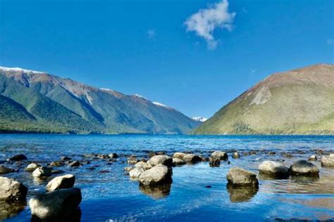 Waimea Tramping Club Website Lake Rotoiti Walks