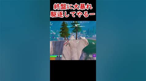 【フォートナイト】終盤に大暴れ！駆逐してやるー！【fortnite】 Youtube