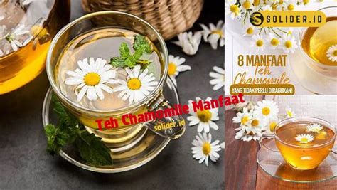 Temukan Manfaat Teh Chamomile Yang Jarang Diketahui Solider