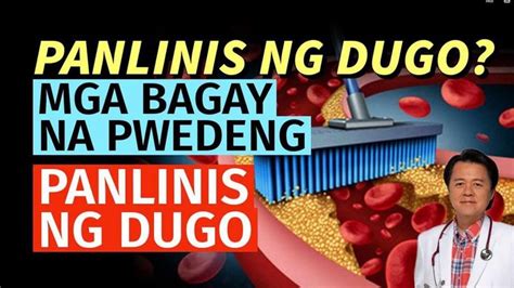 Panlinis Ng Dugo Mga Bagay Na Puwedeng Pang Linis Ng Dugo By Doc