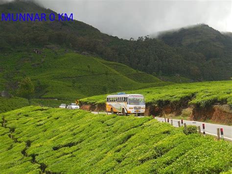 Munnar Kerala Waterfalls Tea Garden Dam Fog Spice Garden Youtube