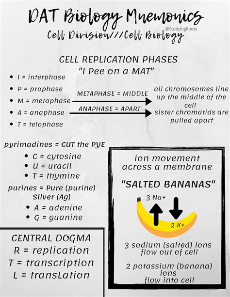 Dat Biology Mnemonics Cheat Sheet Etsy