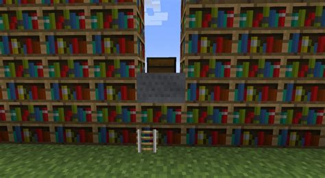 ᐅ Bücherregal mit richtigen Büchern drin in Minecraft bauen minecraft