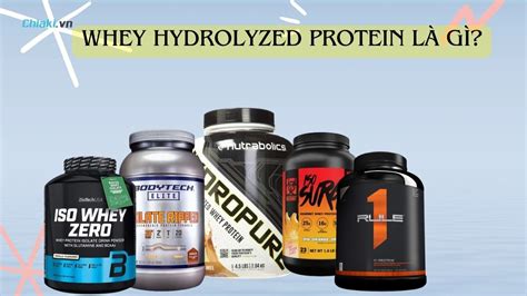 Protein Whey Hydrolyzed là gì Top 6 sản phẩm Protein Whey Hydrolyzed