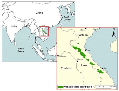 What is a Saola? – The Saola Working Group