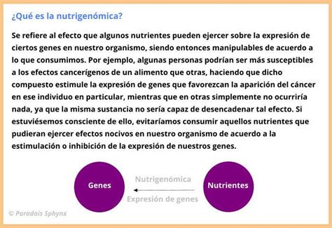 Nutrigen Mica Qu Es Importancia Aplicaci N En La Actualidad