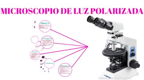 Microscopio De Luz Polarizada By Mar A Ib Ez On Prezi