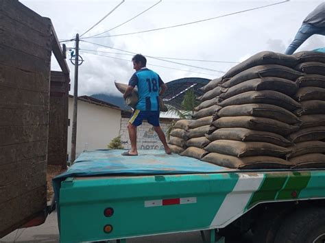 Agro Rural Comercializa Primer Lote De Guano De Islas En Pasco