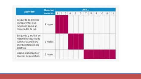 TEMA N 10 PLAN DE ACTIVIDADES Pptx