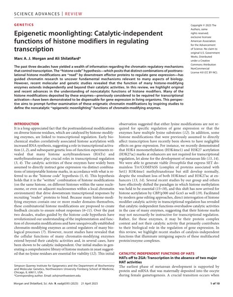 Pdf Epigenetic Moonlighting Catalytic Independent Functions Of