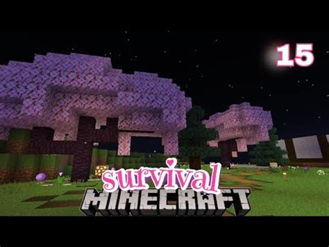 DECORANDO MI MUNDO Serie Survival En Minecraft YouTube