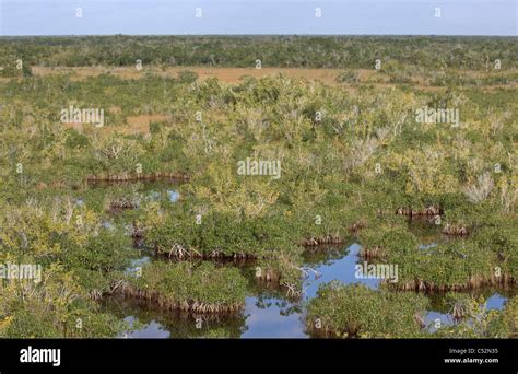 051208 Enp Everglades National Park Stock Photo Alamy