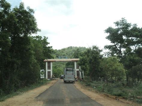 Indira Gandhi National Park Anamalai Tamil Nadu Süd Indien