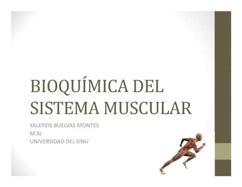 Pdf Bioqu Mica Del Sistema Muscular Dokumen Tips