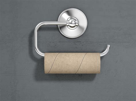 The Diameter of a Toilet Paper Roll in 2024