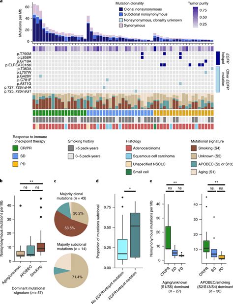 Integrated Analysis Of Egfr Mutational Status Intratumoral