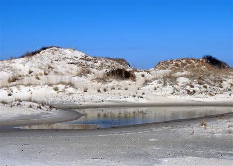 Dunes at False Cape State Park - The Geology of Virginia