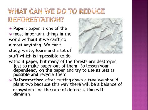 Deforestation Conservation Efforts Presentation Geography