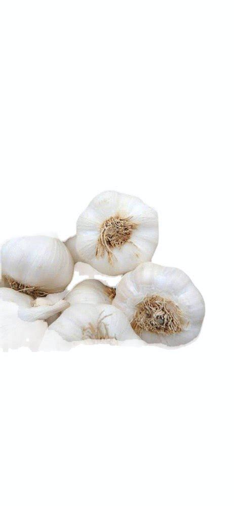 A Grade Jumbo Size Garlic Packaging Size Kg At Rs Kg In Nagpur