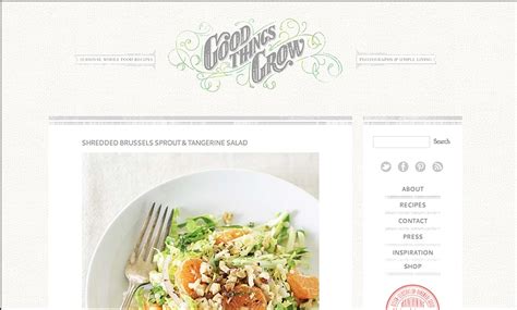 Food Blog Design Shredded Brussel Sprouts Tangerines Takeout