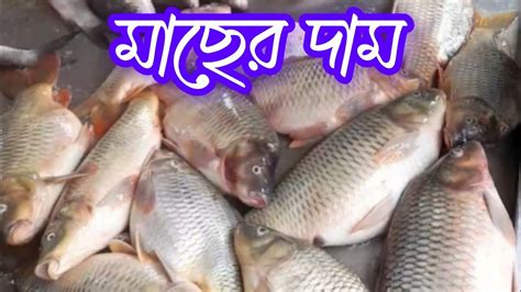 রুই মাছ ২২০টাকা কেজি।কার্প মাছ ১৮০টাকা কেজি। Youtube