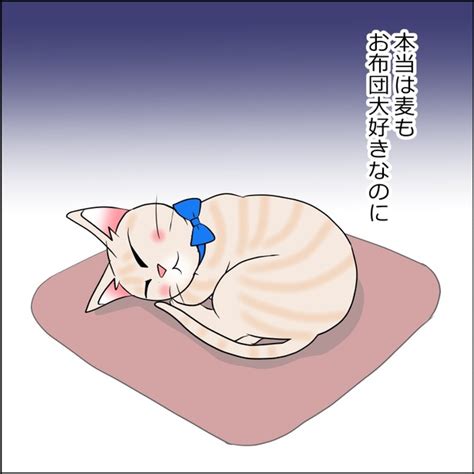 ＜画像59 102＞【ネコ漫画】夢にまでみた「猫との生活」を手にいれた！生きててよかった猫との日常をリアルに描いたネコ漫画に共感の嵐