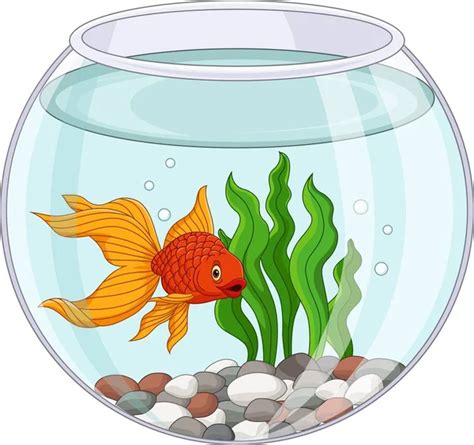 Goldfish Food Clipart Free