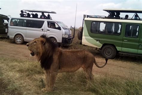 Tripadvisor Halbtagestour Pirschfahrt Im Nairobi National Park Zur