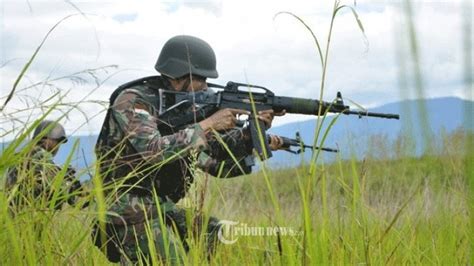 Dua Personel Alami Luka Saat Kontak Tembak Kkb Papua Dan Tni Polri Di