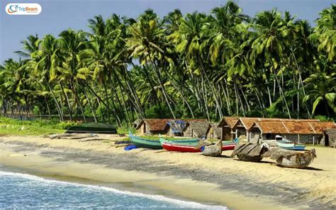 Exploring The Best Beaches Of Goa A Top Notch Guide