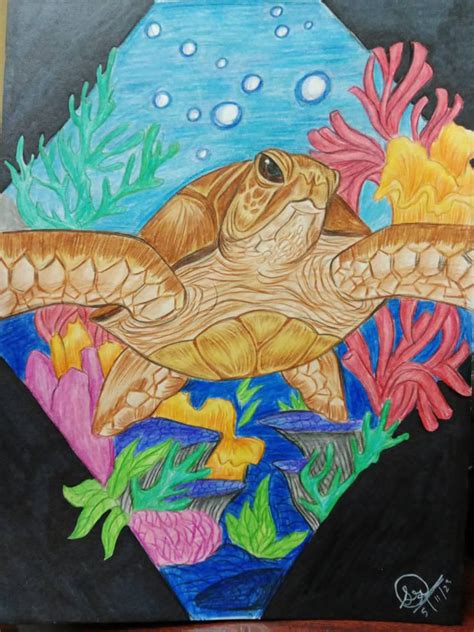 Sea turtle pencil colour drawing by lazyqueen24 on DeviantArt