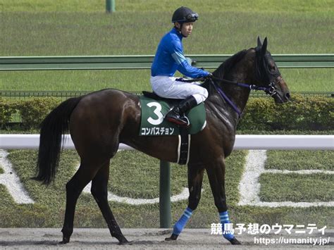 コンバスチョン 競走馬データtop｜競馬予想のウマニティ