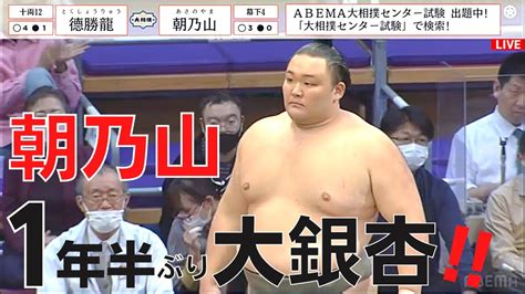 【大相撲】朝乃山！1年半ぶりの大銀杏！相手は幕内優勝経験者！徳勝龍！復帰後最大の難敵を3つのポイントで解説！ Youtube