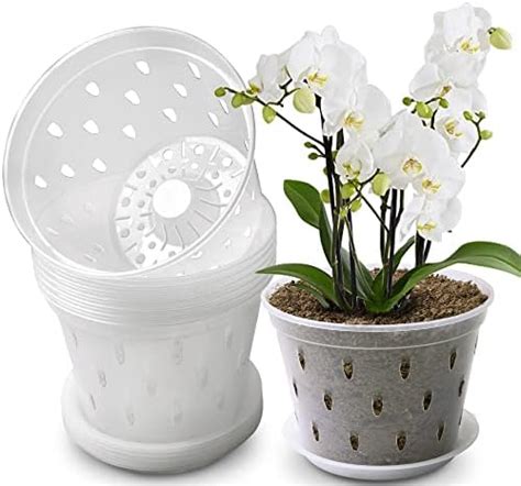 Lot De Pots Orchid E Transparent Avec Trous Et Soucoupes Pour