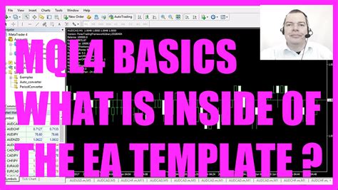 Mql4 Tutorial Basics 1 What Is Inside Of The Ea Template