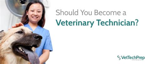 What Does A Vet Tech Do All You Need Infos