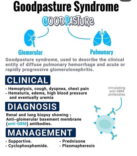 Goodpasture Syndrome MEDizzy