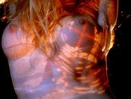 Naked Tane McClure In Bikini Drive In