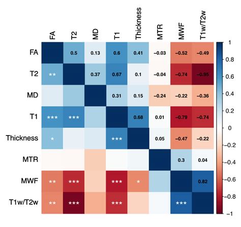 Pearson Correlation Matrix Between Mr Derived Measures Across The 34