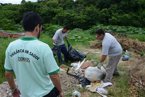 Zoonoses remove 43 toneladas de criadouros da dengue Agência Sorocaba